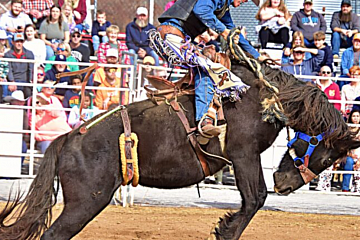 Image: Little Debbie Hamilton County Fair